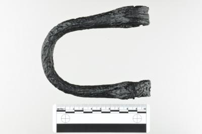 Shackle Loop