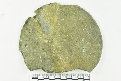 Bottle Base