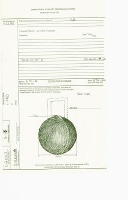 State Artifact Processing Record