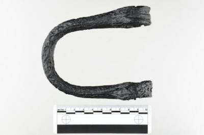 Shackle Loop