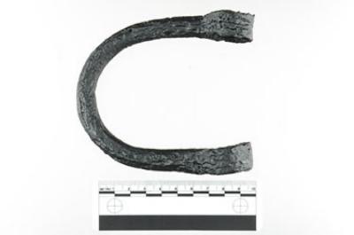 Shackle Loop