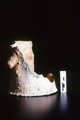 35mm Color Slide