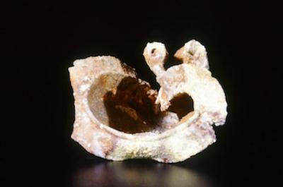 35mm Color Slide