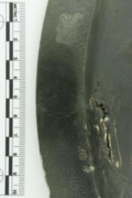 Basin
